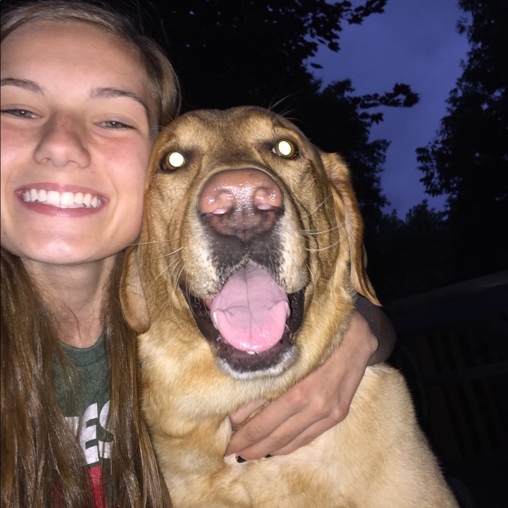 Meet your Posher, Shannon